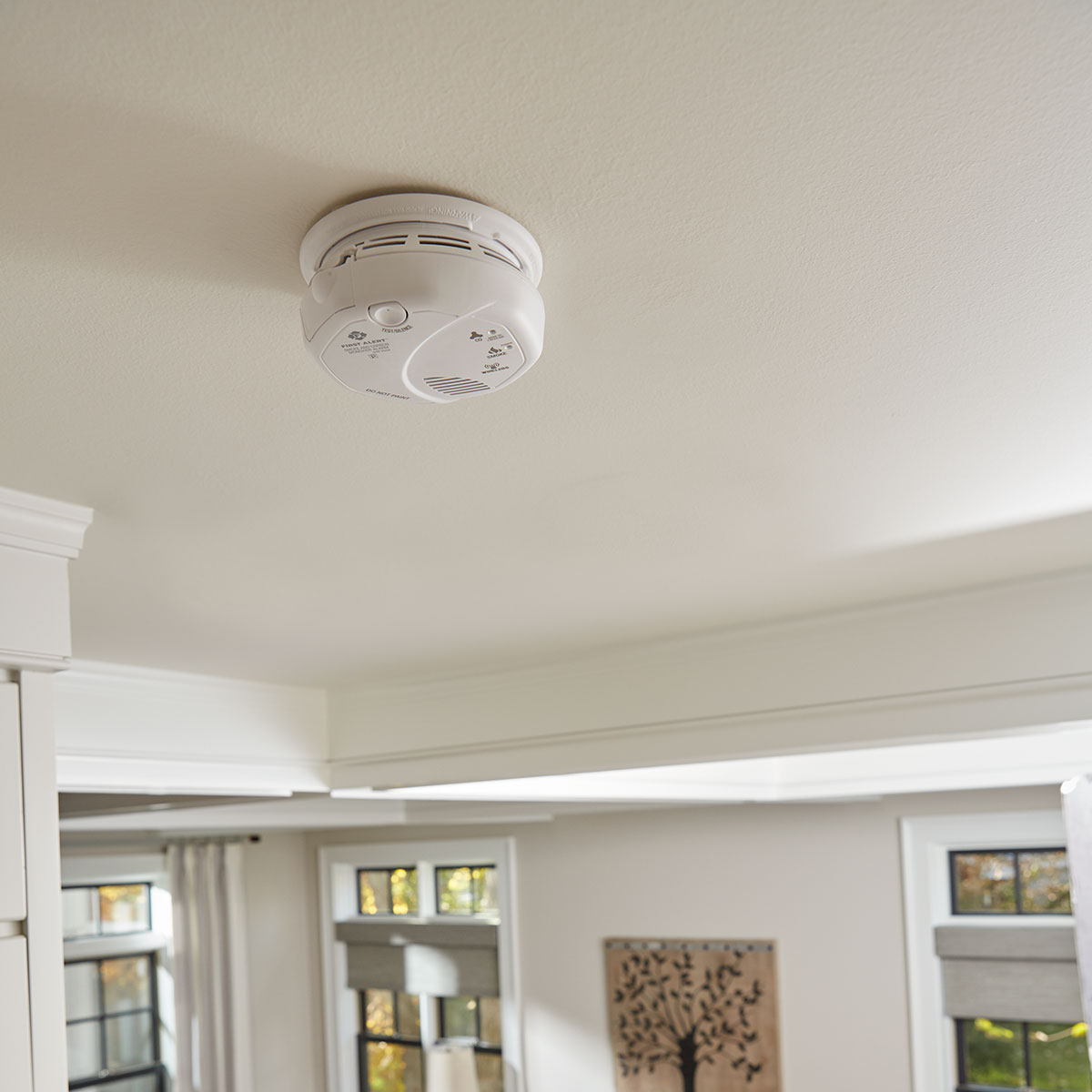Wireless Battery Operated Smoke & Carbon Monoxide Alarm